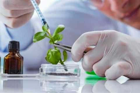 Biotechnology Research and Development